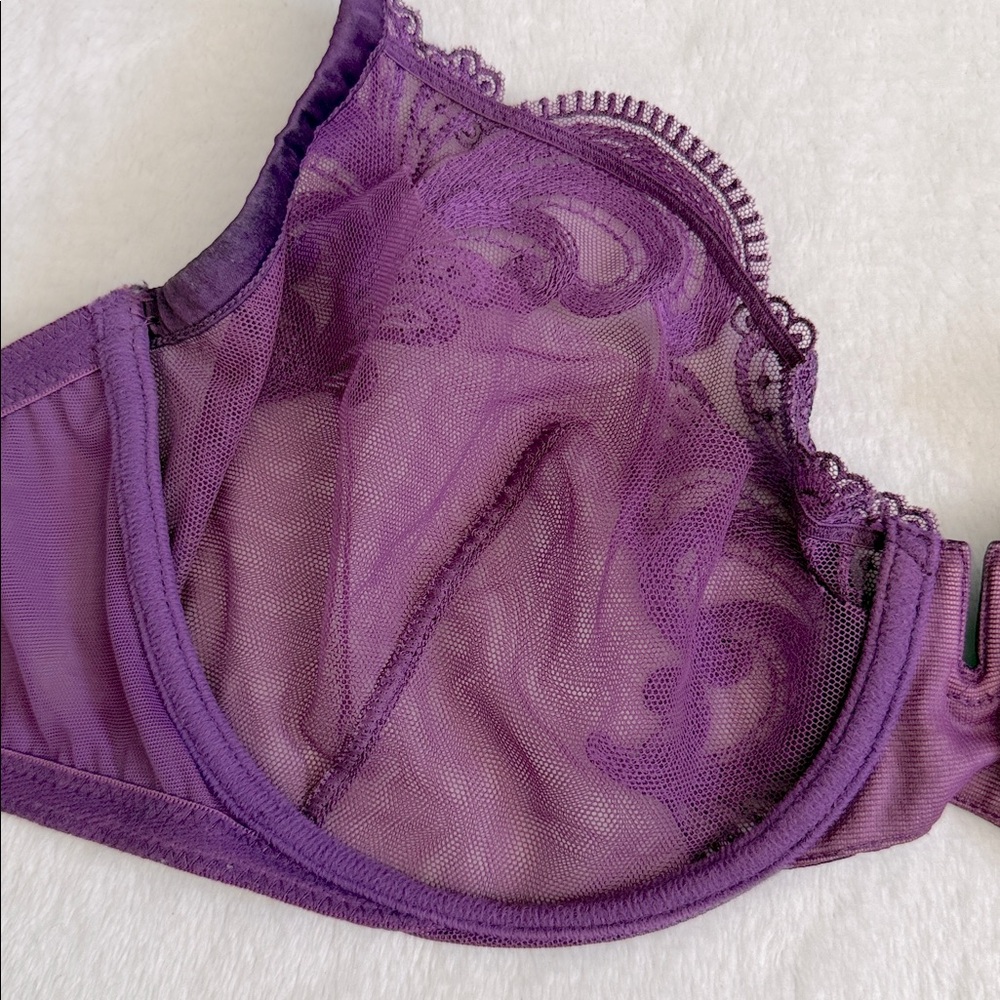 La Perla | Floral Groove Embroidered Tulle Underwire Plunge Bra Purple (36C) - Picture 13 of 16